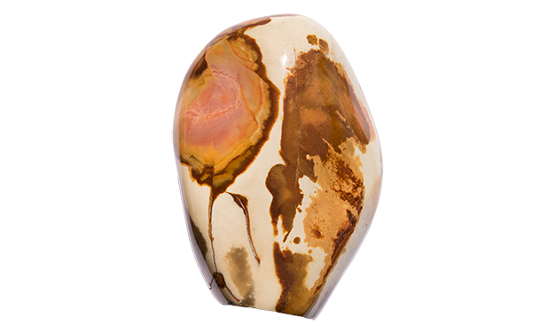 JASPE POLYCHROME