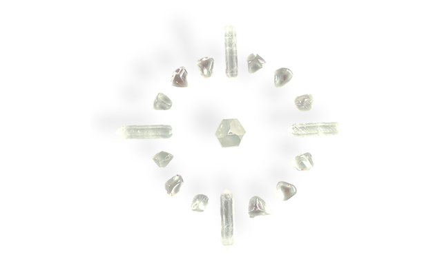 MANDALA UNIVERSEL DE VIE ®
